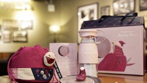 [유통정보]매년 진화하는 스타벅스 럭키백의 행운을 가져가세요 外