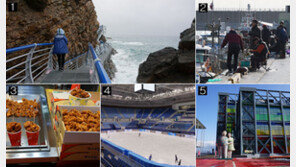 바다·닭강정·커피…겨울여행의 낭만 속으로