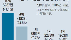 中 화장품 보복에… 수출 영토 확장나선 ‘뷰티 코리아’