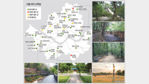 서울에도 이런 길이?… 걷다보면 몸도 마음도 힐링