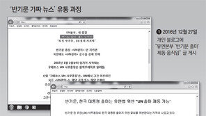 美 대선판 뒤흔든 ‘독버섯’… 국내도 가짜뉴스 주의보