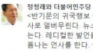 정청래 “반기문 귀국후 행보? 국제신사 코스프레 위주로…”