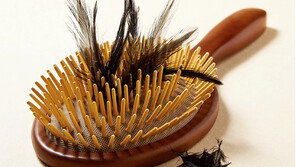 비선실세도 무서워하는 탈모