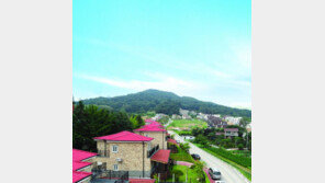 [화제의 분양현장]“안정적 임대수익” 평택 주한미군-군무원 전용 렌털하우스 