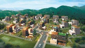 [화제의 분양현장]미군부대 3분 거리 수익형 단독주택 ‘떠오르는 블루칩’ 