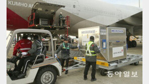 사상 첫 수입계란 국내 상륙…명절용 ‘계란 선물세트’도 등장