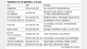 축제 즐기고 할인 받고… 알뜰여행 여기로 오세요