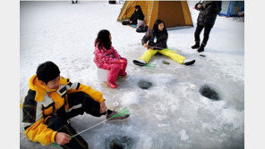 [엄마·아빠 어디가] 안성빙어축제