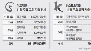 ‘미르-K스포츠 통합’ 넉달째 허송… 운영비 月 2억 헛돈