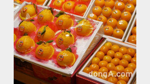 기업 10곳중 6곳 “설날 거래처 선물 안한다” …작년 대비 20%나 줄어