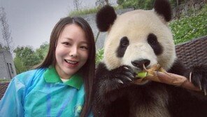 비범한 ‘셀카’ 센스? 사람 같은 포즈·표정으로 화제 된 판다