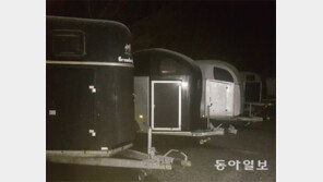 정유라 아들 일행, 덴마크 당국이 관리하는 듯