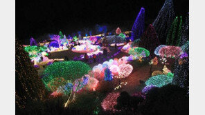 [여행, 나를 찾아서]한겨울 지상에 펼쳐진 오색별빛 찬란한 우주 “꿈인 듯”