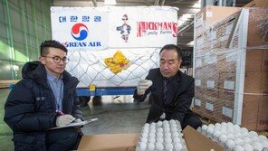 대한항공, ‘미국산 계란’ 특별기 운송