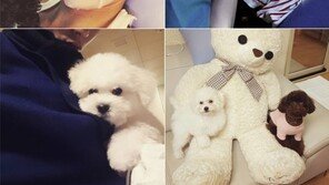 ‘나혼자산다’ 윤현민, 인스타그램 보니…일상도 다정다감 ‘개아빠’