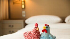 그랜드 하얏트 서울 호텔, 15일까지 설 패키지 예약 할인