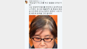정청래 “최순실 마스크 벗은 이유, 박근혜든 누구든 나를 건들지 마라”