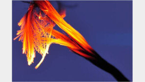 [스마트 컨슈머]차세대 탄소섬유 온열·난방 소재 ‘핫스웰’