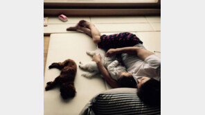 메이비 둘째 임신, 윤상현 ‘딸바보’ 인증 “보물1호·딸·사랑”