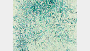 보이지 않는 것을 보여주는 화업 60년의 여정