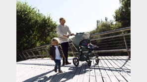 발삼 그린 컬러의 경쾌함, 부가부 카멜레온³ 카이트 출시