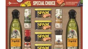 [Love&Gift]명절엔 역시 ‘실속’ 가득 채운 가공식품 세트 