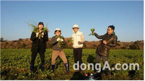 [여행정보]제주 워킹홀리데이 ‘푸리바당’ 2차 참가자 모집 外