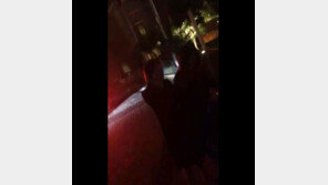 서인영 ‘욕설 논란’에…누리꾼도 ‘갑론을박’