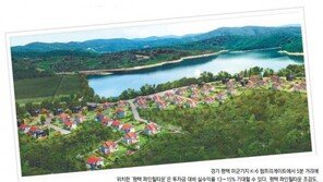 [화제의 분양현장]“월 400만원대 임대수익” 평택 주한미군-군무원 전용 렌털하우스