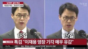 이재용 영장 기각 브리핑, 이규철 특검보 표정 변화 ‘화제’…“깊은 분노 느껴져”