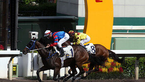 경주마 등급별 레이팅 구간 조정…출전기회 확대