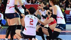 V리그 올스타전에 관해 우리가 알고 싶은 것들