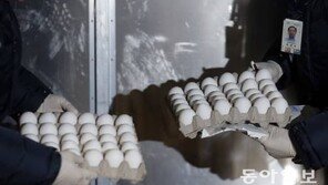 계란값 소폭 하락…‘수입계란’ 풀리면 장바구니 안정될까