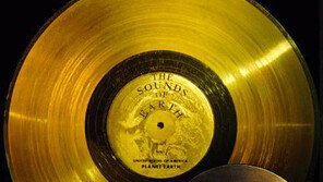 [책의 향기]정보는 어떻게 인류를 변화시켜왔나