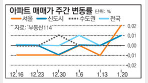 [아파트 시세]서울 아파트값 9주 만에 상승