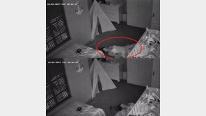 [영상]바닥에 등 대고 이동하는 女 영상 SNS 화제…대체 왜?