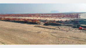 송도캠퍼스에 인하공업전문대 이전 추진 논란