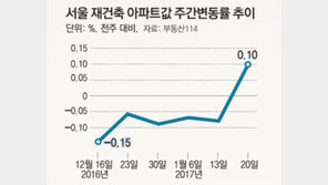 재건축 잇단 통과 강남 다시 ‘꿈틀’