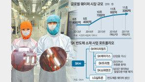 SK, 거침없는 반도체 영토 확장