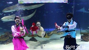 “새해 복 많이 받으세요”