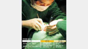 임플란트, 年 3개까지만 보험혜택