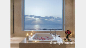 제주 해비치, 밸런타인데이 ‘스윗 문라이트 스위트 패키지’ 출시