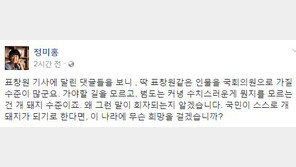 정미홍 “더러운잠 댓글, 딱 표창원같은 인물 국회의원으로 가질 수준”
