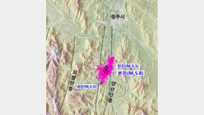 경주지진, 대형지진 촉발 가능성 희박…他지역 발생 가능성은?