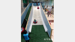 강추위에 실내 썰매장 인기