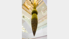 경북도청 신청사 설연휴 공연 잇따라