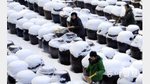 한파 속 장독대 눈 치우기