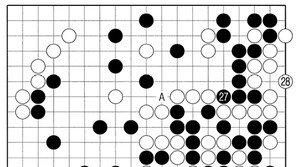 [바둑]역대 국수전 우승 결정국… 마지막 시험대