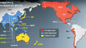 양자무역 새판 짜겠다는 美 vs 다자협정 맏형 되겠다는 中