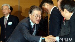 對美외교 원론적 입장만 밝힌 문재인